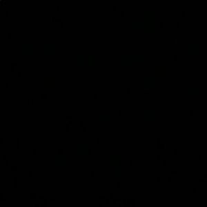 Meet your Posher, Kadyn